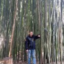 Фотография "Заблудился в зарослях бамбука. "