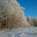 Фотография от Дмитрий✴️Татьяна Польза от природы