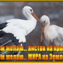 Фотография от Венера Пак(Давлетшина)