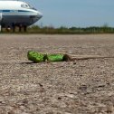 Фотография "Поздравляю вас ребята с днём ВВС!!!  Знайте у вас надёжный тыл, мы любим вас и ждём. Чистого неба вам наши дорогие!!!"