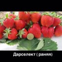 Фотография от Таня Гетьман