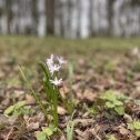 Фотография от Евгений Полисадов