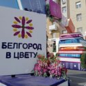 Фотография "Белгород в цвету 2023"