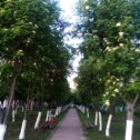 Фотография от ЛАРИСА 🌺🌳🌴🍊🍒🍓🍋🍎🍑