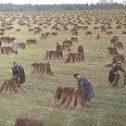 Фотография от Галина Лавринович