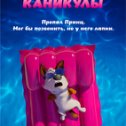 Фотография от Русские DVD в Ливане