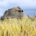 Фотография "Большие Алаки. Святилище"