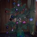 Фотография "моя новогодняя елка 2012-2013гг"