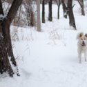 Фотография от Оксана и Олеся Желтоноженко