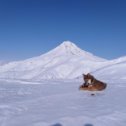 Фотография от МедведЬ Бурый