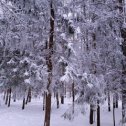 Фотография от Перекладов Александр