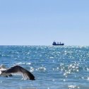 Фотография от Отдых на Черном море