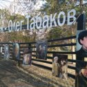 Фотография "Мой родной город,Саратов,
 чтит Табакова."