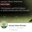 Фотография от Елена Цитрус Микс