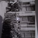 Фотография "ССО КПтИ "Гелеос 3", 1978г. У входа в главный корпус института на Галактионовской."