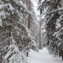 Фотография от Людмила Соловьёва( Горбачёва)