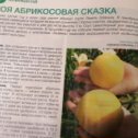 Фотография от Светлана Скакун(Зинчук)