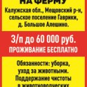 Фотография от Объявления Продаю Куплю Услуги