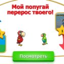 Фотография "ღღღВика♫♫♫♥♥♥, мой попугая перерос твоего. Попробуй догони! http://www.ok.ru/game/1142001664"