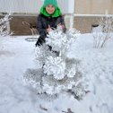 Фотография "Вот так нас порадовала Зимушка к празднику,прямо Сказка"