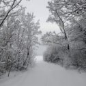 Фотография от Лариса Травянко(Лютая)