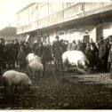 Фотография "Окружная сельскохозяйственная выставка в Астрахани 1929 год"