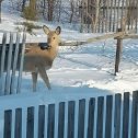 Фотография от Александр Милованов