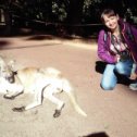 Фотография "Вот так идешь по зоопарку и перешагиваешь через кенгуру. Перт, Австралия,июнь 2017"