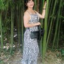 Фотография "Зебра в бамбуке 😆"