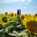 Фотография "🌻🌻🌻"