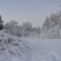 Фотография "Зимняя сказка возле дома."