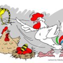 Фотография "Учили яйца курицу косячить: мол петушок не отличит свой плод среди других яиц.... Так появилось направление родства и братства среди птиц - иные пищу добывают, другие трахают девиц...."