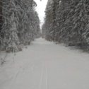 Фотография от Александр Норев