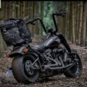 Фотография "A eto, esho odin krassavec Harley-Davidson."