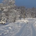 Фотография от Елена Кузнецова