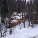 Фотография "Вот и вешние воды появились,, журчат ручьи,, весна пришла."