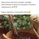 Фотография от АРЕНДА  ДОМОВ НА СУТКИ СУРГУТ