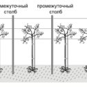 Фотография от Кольбаева Элина