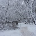 Фотография от Екатерина Богданова (Сибиричева)