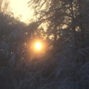 Фотография "Перввое солнышко почти за месяц.Январь 2019"