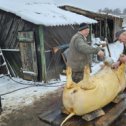 Фотография от Савелий Богалейша