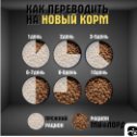 Фотография от Объявления Новопокровский район