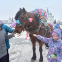 Фотография от Елена Шалыгина