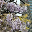 Фотография "Доброго дня! 🍃🌷
Пусть ваш день будет приятным, а настроение самым лучшим. 😉"