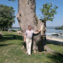 Фотография "Это я у ствола старого тополя на
берегу излучины Дуная. 
Дёмёш, Венгрия, авг. 2012 г."