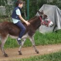 Фотография от Лена Государева  Кузьмина