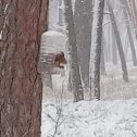 Фотография "Шебекино 1 день зимы"