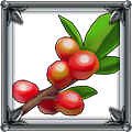 Фотография "Я срочно ищу ресурс в игре Верность. Это Красные ягоды. Предложения об обмене в личку. http://www.odnoklassniki.ru/game/207316992"