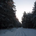 Фотография от Василий Осетров