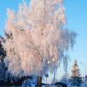 Фотография от Александр Романов